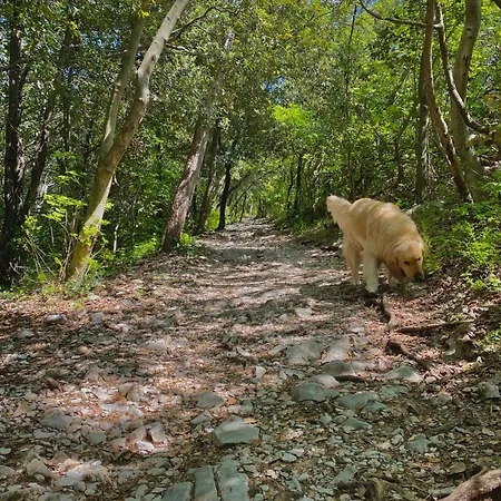 Bed & Breakfast Il Veliero 3*